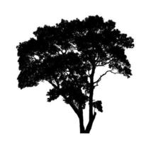 Tree silhouette for brush on white background photo