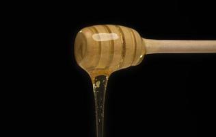 dripping honey on wooden dipper white background with room for copy space photo