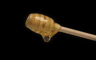 dripping honey on wooden dipper white background with room for copy space photo