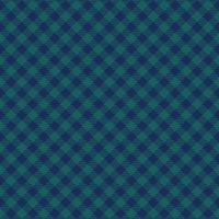 Plaid pattern vector. Check fabric texture. Seamless textile design for clothes, paper print. vector