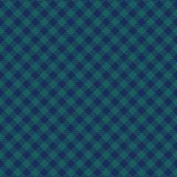 Plaid pattern vector. Check fabric texture. Seamless textile design for clothes, paper print. vector