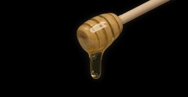 dripping honey on wooden dipper white background with room for copy space photo