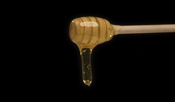 dripping honey on wooden dipper white background with room for copy space photo