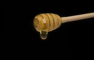 dripping honey on wooden dipper white background with room for copy space photo