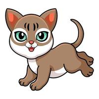 Cute singapura cat cartoon posing vector