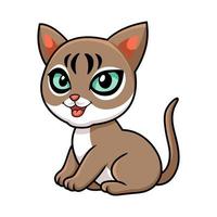 lindo gato de singapura sentado de dibujos animados vector