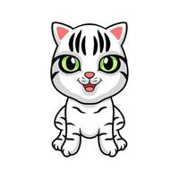 Cute american short hair cat cartoon vector