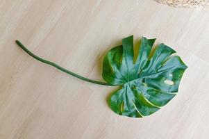 hoja de monstera verde aislada sobre fondo blanco. planta tropical popular en la decoración del hogar foto
