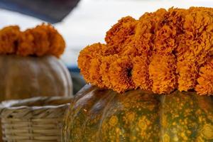 decoration with cempasuchil flowers and pumpkin on top orange flowers, pumpkin used as a vase photo