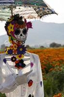 catrina in the field with an umbrella, mexico photo