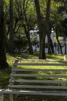 empty bench in a park with trees in the background on grass sunlight coming in photo