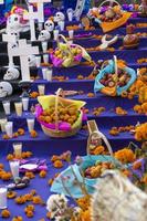 day of the dead altar, cempasuchil all over the floor in purple background photo