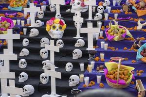 day of the dead altar, cempasuchil all over the floor in purple background photo