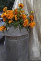 cempasuchil flower in a metal vase next to a catrina wedding dress, calavera mexico photo