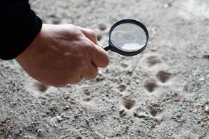 Closeup hand holds magnifying glass to explore tiny insects in holes on ground. Concept, examine, explore, research nature or biological organisms. Study about insects behavior. Science tool. photo