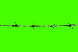 barbed wire isolated on white with clipping path photo