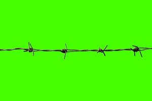 barbed wire isolated on white with clipping path photo