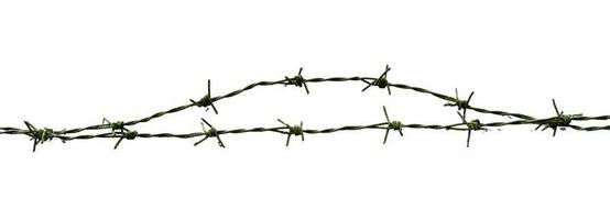 barbed wire isolated on white with clipping path photo