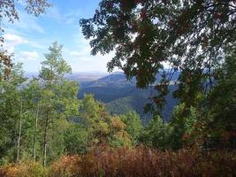 view from the Church mountain, Belokurikha,Altai,Russia photo