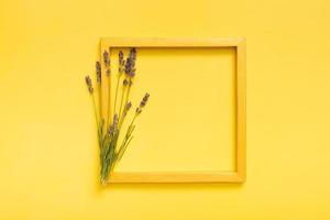 Lavender flowers and golden frame on yellow background top view. Copy space. photo