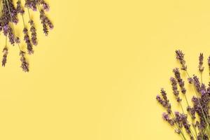 Lavender flowers on yellow background top view. Copy space photo