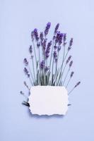 hoja de papel en blanco para texto con flores de lavanda. primavera mensaje escribir copia espacio foto