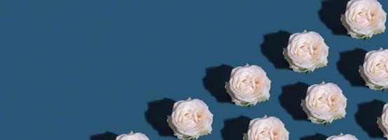 banner con patrón de capullo de flores de rosas sobre fondo turquesa con espacio de copia foto