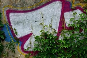 A detailed image of a colored graffiti drawing, which is overgrown in the thickets of ivy. Background street art picture photo