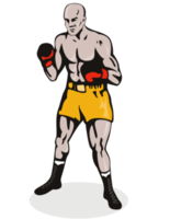 boxer posando fundo isolado png