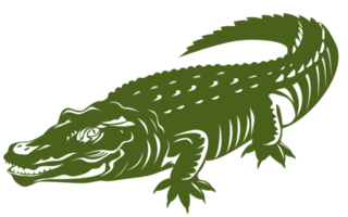 Alligatorkrokodil isolierter Hintergrund png