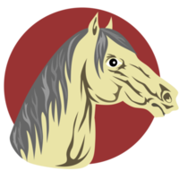 fundo isolado de cabeça de cavalo png