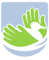 Duck swimming with hands icon png