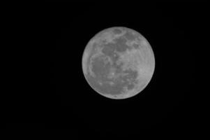 vista de la luna sobre fondo negro foto