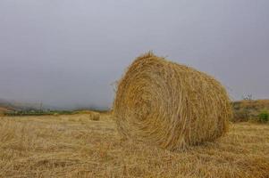 Hay field view photo