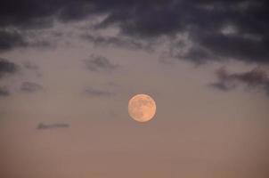 Moon close-up view photo