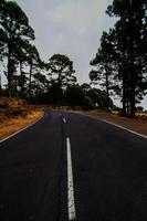 Scenic road view photo