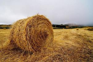 Hay field view photo