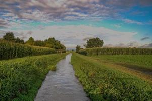 View of a river photo