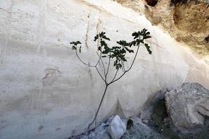 Cave in the chalk cliffs in southern Israel. photo