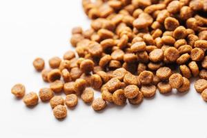 Dry feed pellets for dogs on a white background. photo