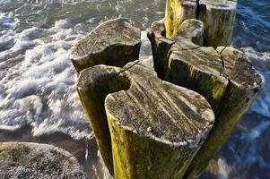 single groyne on the beach. squiggly shape of the wood. Sand and sea around the trunk photo