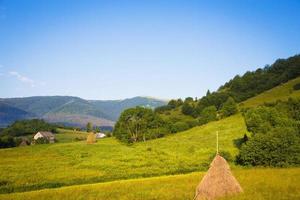 Carpathian nature in summer photo