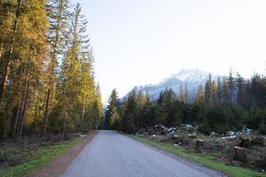 en el camino al ojo de mar en polonia. camino en el bosque. tatry foto