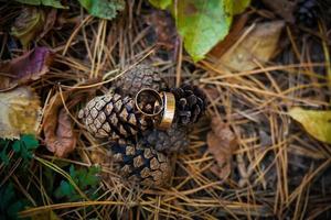 tema de compromiso - anillo de diamantes en conos de pino foto