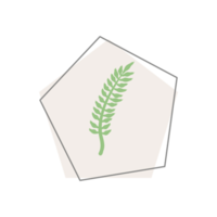 forme de gouttes organiques de feuilles esthétiques png