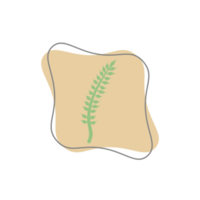 Aesthetic Leaf Organic Blobs Shape png