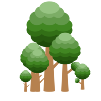 little forest realistic tree collection of different kinds shape png