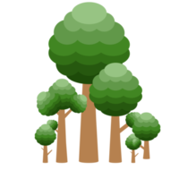 little forest realistic tree collection of different kinds shape png