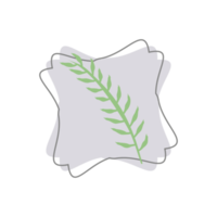 Aesthetic Leaf Organic Blobs Shape png