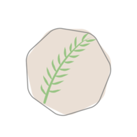 Aesthetic Leaf Organic Blobs Shape png